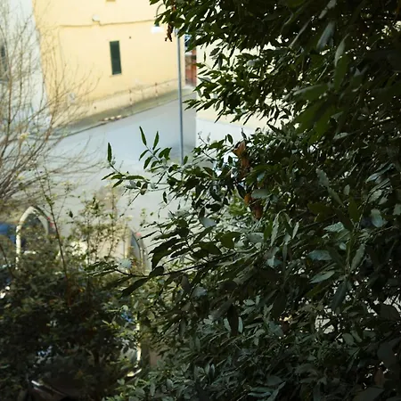 Dalla Nonna Salernes
